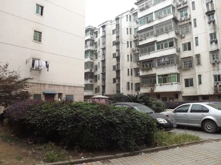 柴桑租房市场动态揭秘