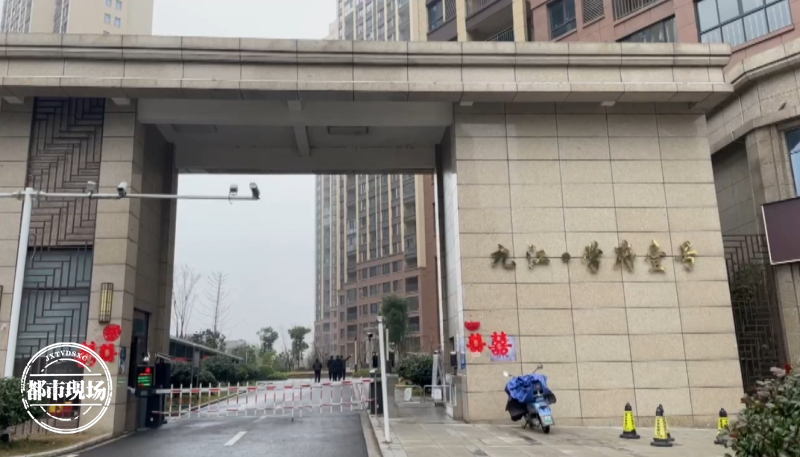 九江柴桑房产：城市的脉动与梦想的起航